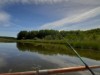 Billede 31