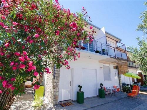 Ferielejlighed - 3 personer -  - Rožac - 21223 - Okrug Gornji