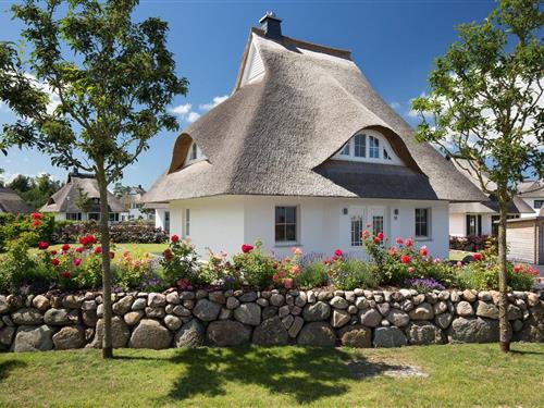 Feriehus - 4 personer -  - Am Schabernack - 18356 - Fuhlendorf