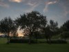 Billede 47