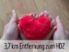 Bild 21