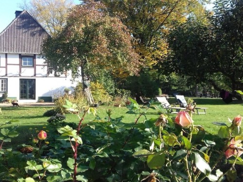 Holiday home - 6 persons -  - 23717 - Bökensberg Ot Freudenholm