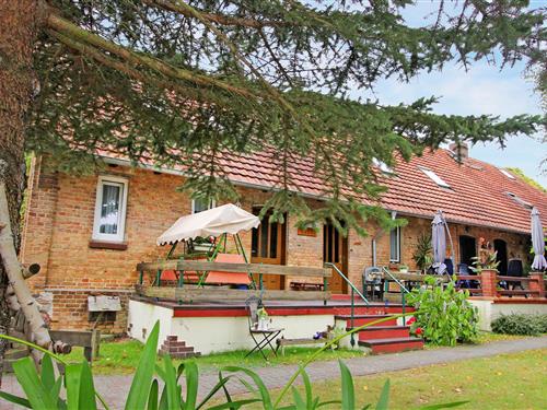 Semesterlägenhet - 4 personer -  - Borkower Weg - 19406 - Klein Pritz