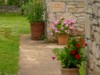 Image 16