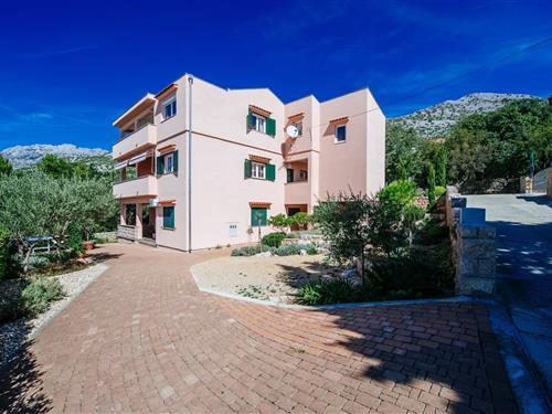 Ferienwohnung - 4 Personen -  - 23244 - Starigrad Paklenica
