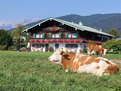 Ferieleilighet - 2 personer -  - Storchenstr. - 83471 - Schönau Am Königssee