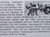 Bild 33