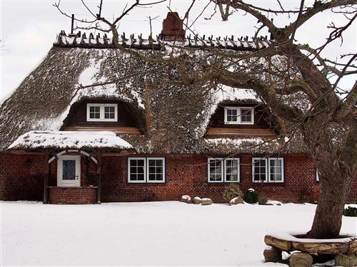 Ferieleilighet - 4 personer -  - Schubyfeld - 24398 - Dörphof