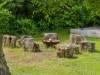 Bild 26 - Utomhus aktiviteter