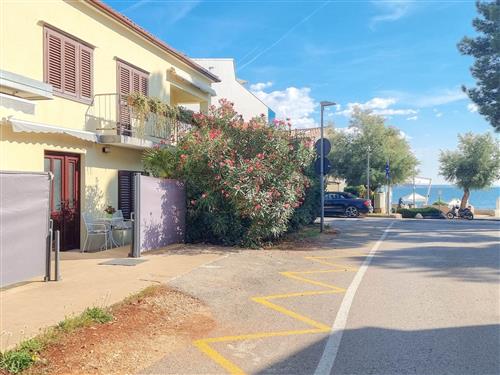 Semesterlägenhet - 4 personer -  - Novigrad (Istra) - 52466