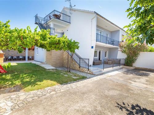 Ferienwohnung - 6 Personen -  - Munida - 52203 - Medulin