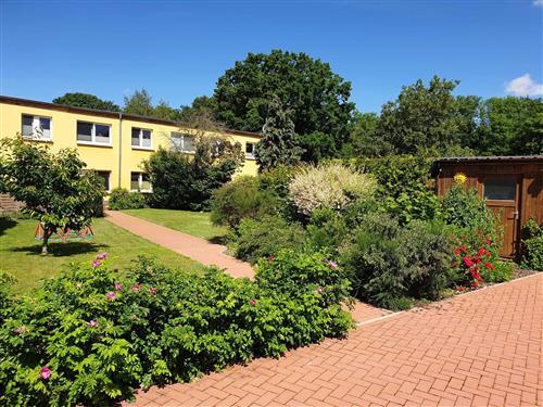 Ferienhaus - 8 Personen -  - Großer Garten, Liegwiese, Spielplatz, Terrasse - 18573 - Samtens