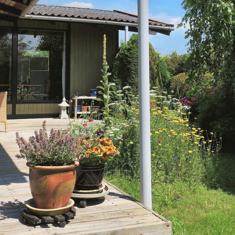 Ferienhaus - 7 Personen -  - Klintegårdsvej - Karrebäksminde - 4736 - Southwest Zealand