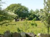 Bild 22