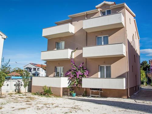 Holiday Home/Apartment - 5 persons -  - Don Luke Jelica 2, B6 - br. - Biograd - 23210 - Biograd Na Moru