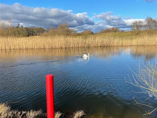 Sommerhus - 5 personer -  - Zur Seetreppe - 17213 - Göhren-Lebbin
