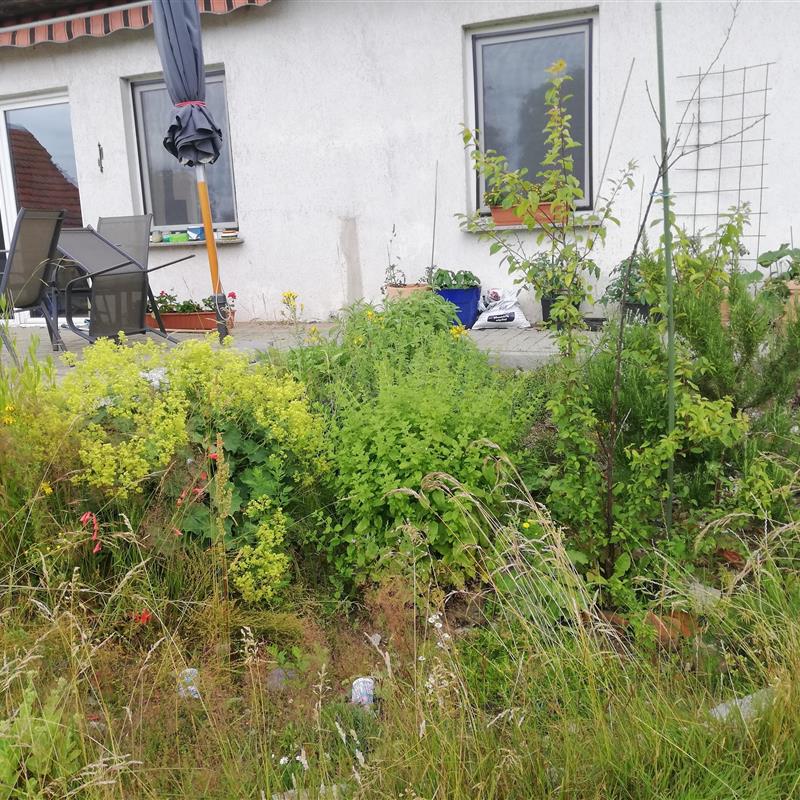 Ferielejlighed - 4 personer -  - Dorfstraße - 19243 - Wittenburg