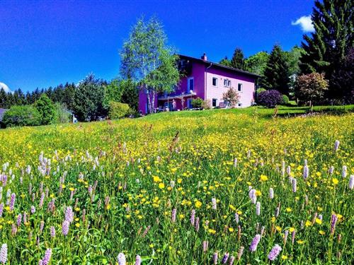 Semesterhus/Semesterlägenhet - 2 personer -  - Riedelsbach - 94089 - Neureichenau