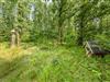 Billede 30 - Grund
