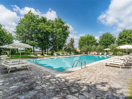 Ferienwohnung - 2 Personen -  - Strada della Selva - San Donato In Poggio - 50028 - San Donato In P. Fi