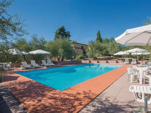 Feriehus - 5 personer -  - 50026 - San Casciano Val Di Pesa