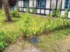 Bild 42