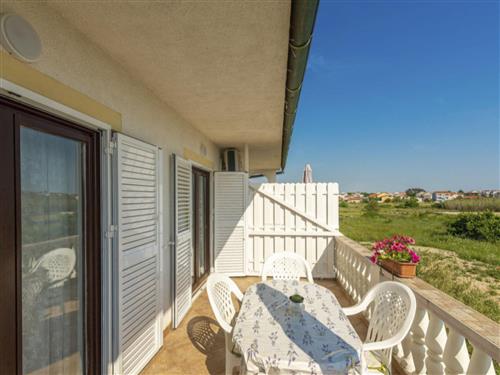 Holiday apartment - 4 persons -  - Privlaka - 23233