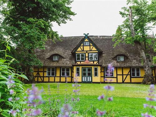 Sommerhus - 16 personer -  - Gut Dorotheenthal - 24351 - Damp