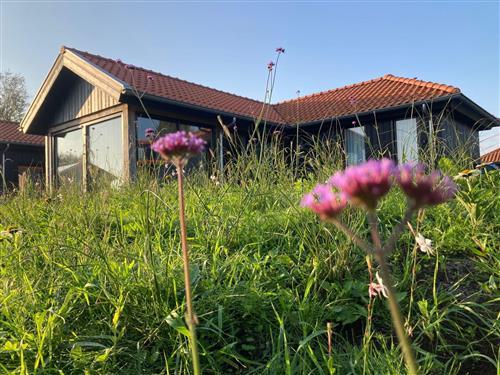 Holiday home - 4 persons -  - Anjum - 9133CC