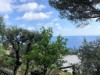 Image 13 - Outside