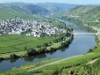 Bild 24