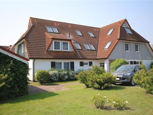 Ferieleilighet - 3 personer -  - Jordanstrasse - 18374 - Seeheilbad Zingst