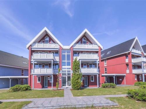 Ferielejlighed - 3 personer -  - 17248 - Rechlin