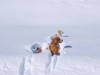 Bild 22