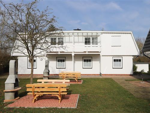 Holiday apartment - 4 persons -  - Berger Straße - 18581 - Putbus