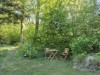 Billede 17 - Grund