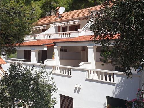 Ferieleilighet - 4 personer -  - Pod Jagodna - 21465 - Jelsa