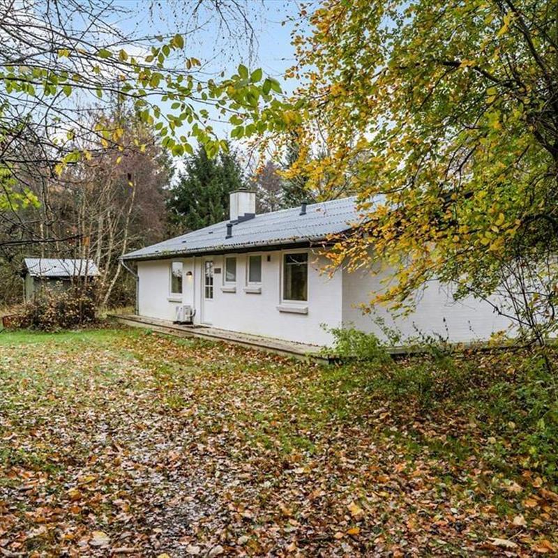 Ferienhaus - 4 Personen -  - Cecilievej - Tversted - 9881 - Bindslev