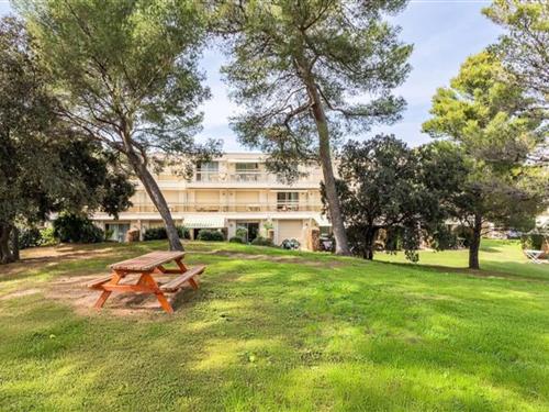 Ferielejlighed - 5 personer -  - 83700 - St Raphael