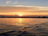 Bild 35