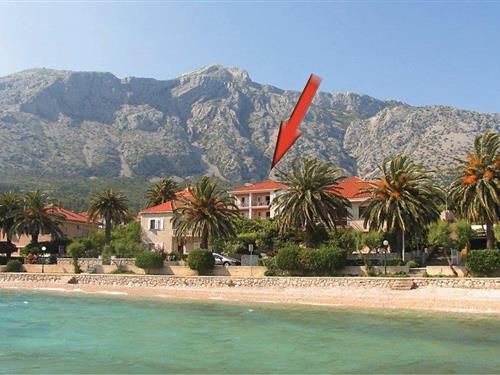 Holiday apartment - 4 persons -  - Od Blaca - Peljesac-Orebic - 20250 - Orebic