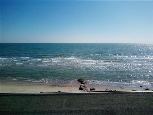 Ferieleilighet - 2 personer -  - Strandpromenade - 23777 - Heringsdorf