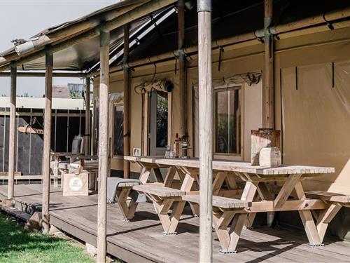 Glamping telt - 6 personer -  - 1759JG - Callantsoog