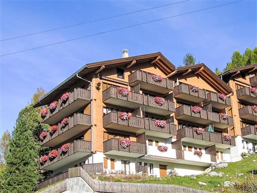 Holiday apartment - 5 persons -  - Grächen - 3925