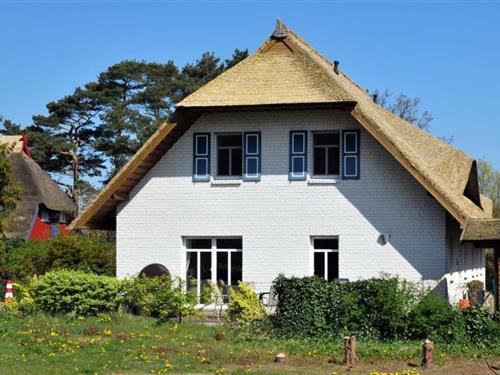Ferieleilighet - 5 personer -  - Bauernreihe - 18375 - Wieck A. Darß