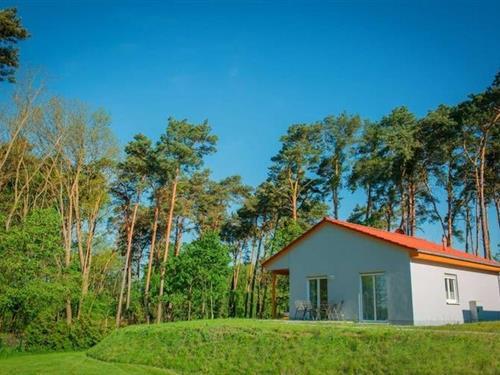 Bungalow - 6 personer -  - 15859 - Storkow