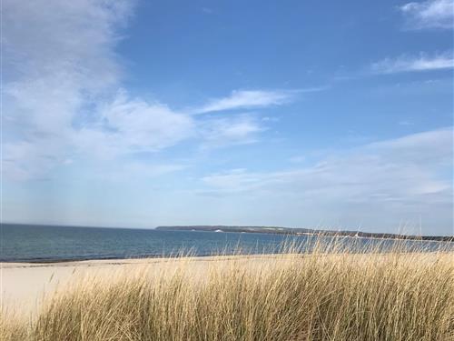 Ferieleilighet - 3 personer -  - Gummanz - 18551 - Sagard Ot Neddesitz