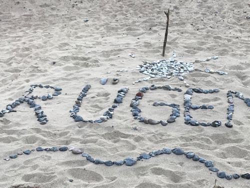 Ferielejlighed - 3 personer -  - Gummanz - 18551 - Sagard Ot Neddesitz