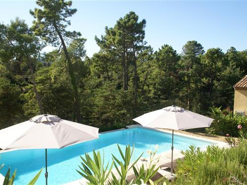 Ferielejlighed - 5 personer -  - 83440 - Montauroux