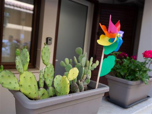 Semesterlägenhet - 2 personer -  - Balestrate - 90041